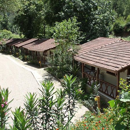 Eco Family Park Hotell Beskonak Eksteriør bilde