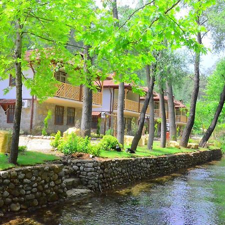Eco Family Park Hotell Beskonak Eksteriør bilde