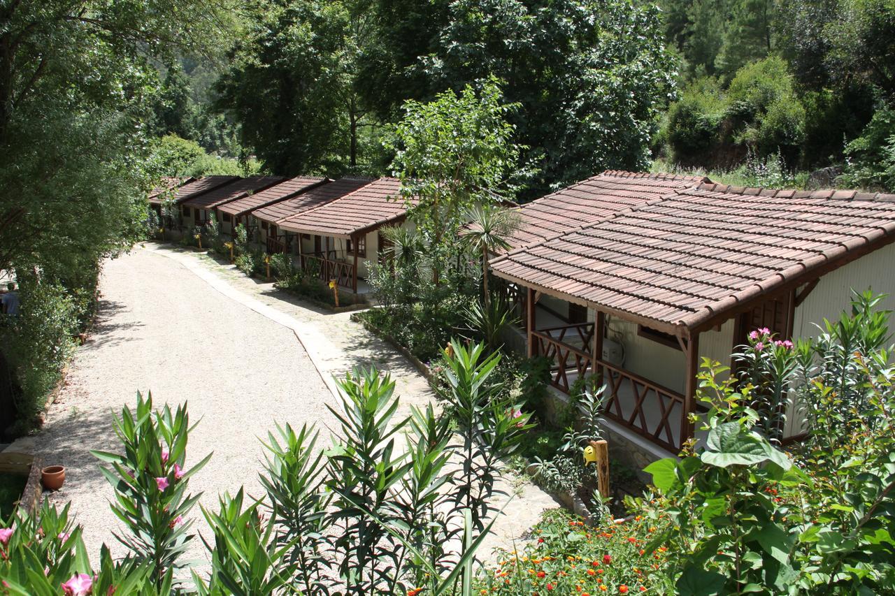 Eco Family Park Hotell Beskonak Eksteriør bilde