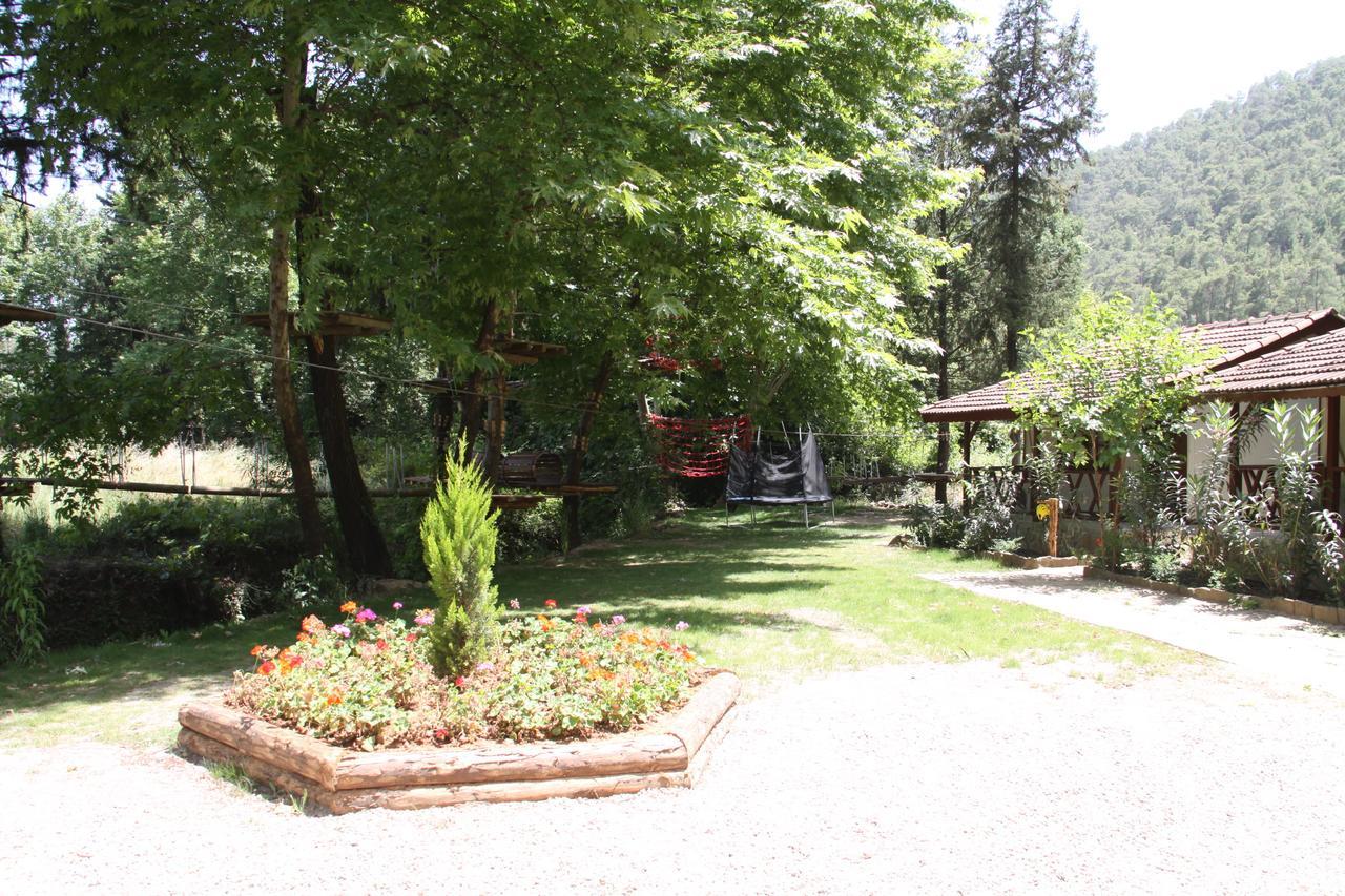Eco Family Park Hotell Beskonak Eksteriør bilde