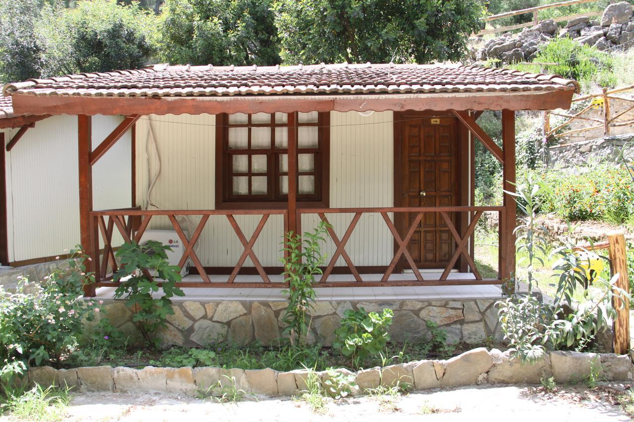 Eco Family Park Hotell Beskonak Rom bilde