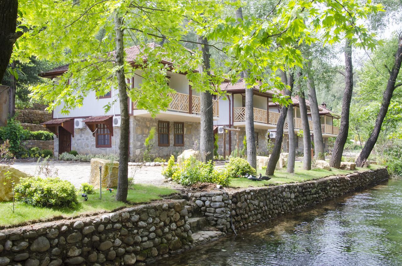 Eco Family Park Hotell Beskonak Eksteriør bilde