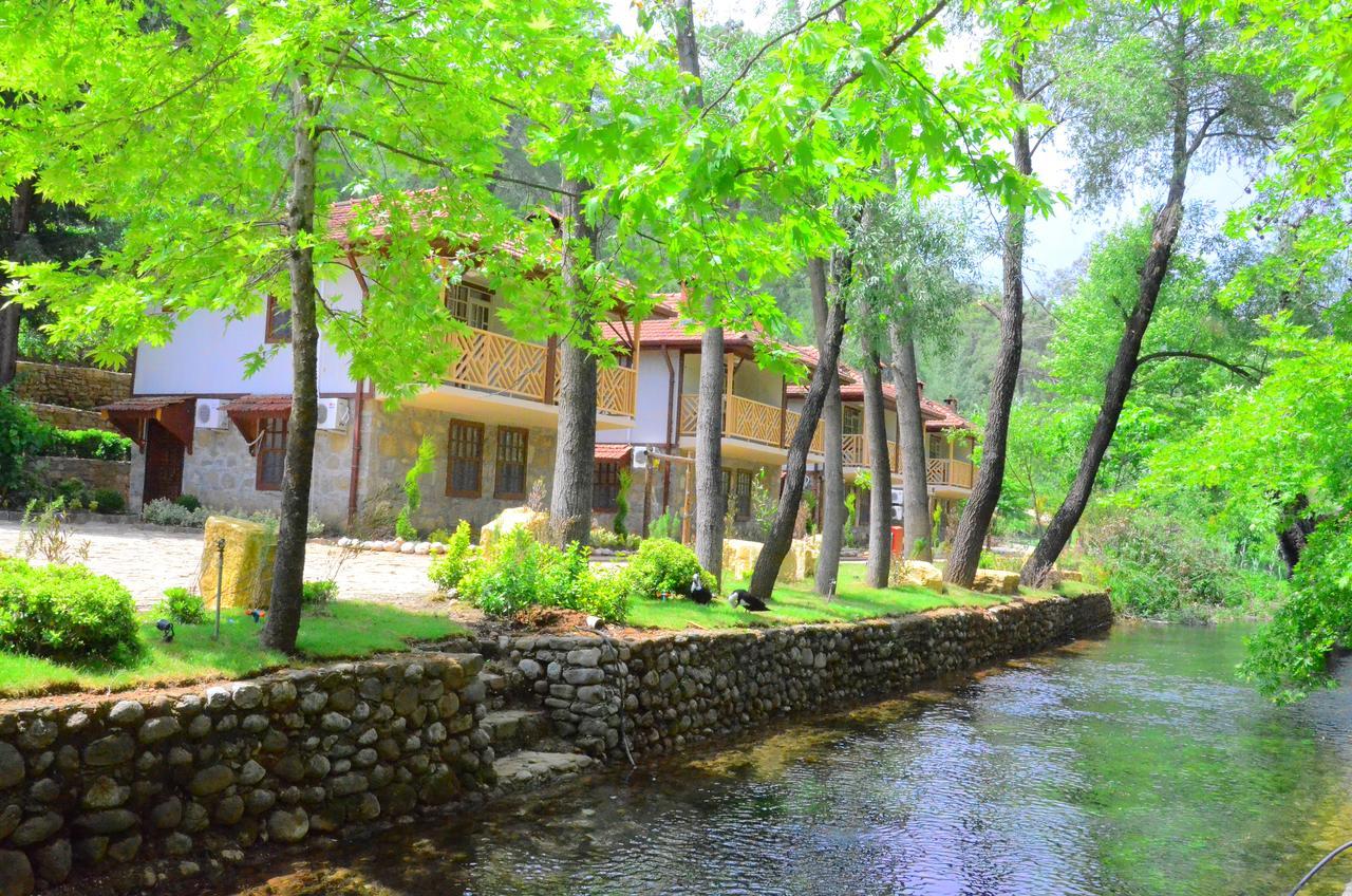 Eco Family Park Hotell Beskonak Eksteriør bilde